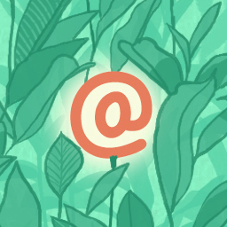 افزونه WP Mail Logging