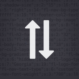 افزونه Customizer Export/Import