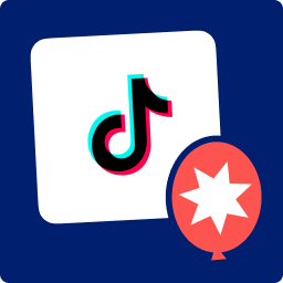 افزونه Feeds for TikTok (TikTok feed, video, and gallery plugin)