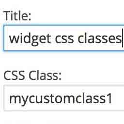 افزونه Widget CSS Classes