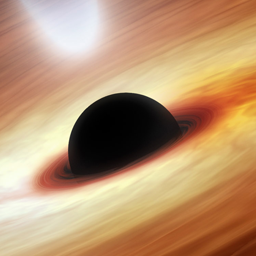 افزونه Blackhole for Bad Bots