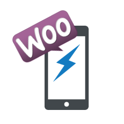 افزونه AMP WooCommerce