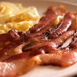 افزونه Bacon Ipsum