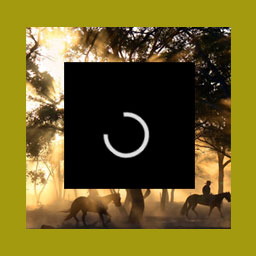 افزونه Supaz Easy Background – Easy way to add parallax image or video background