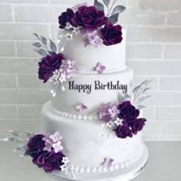 افزونه Users Birthday Email
